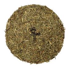 Attēlu rezultāti vaicājumam “Herniaria glabra leaf”