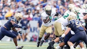 Attēlu rezultāti vaicājumam “Bryum funkii”