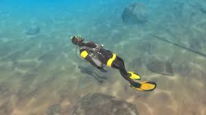 Image result for 3D Diving Club