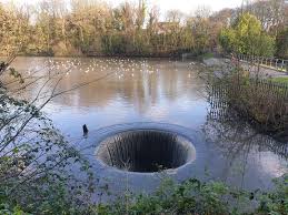 Image result for Newton - Le - Willows A R L F C