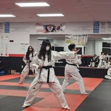 Image result for Vision Martial Arts