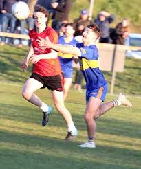 Image result for St Patrick`s Gac, Saul