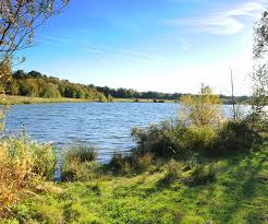 Image result for Rother Valley