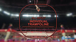 Image result for Abbey Flyers Trampoline Club
