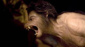 Image result for werehuman фото