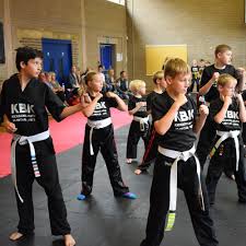 Image result for Ifield Shotokan Karate Club
