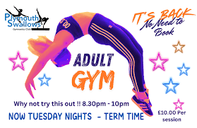 Image result for Swallows Of Helston Gym Club