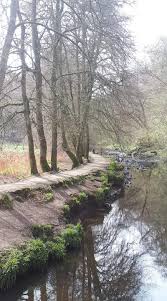 Image result for Calderglen Harriers