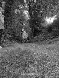 Image result for Ellan Vannin Gc