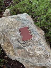 Image result for Acorn Archers