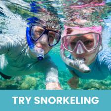 Image result for Wyndley NSC Snorkelling Club