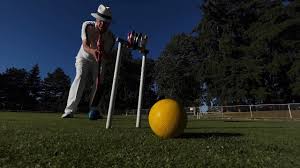Image result for Court Park Bowls Club