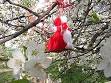 Martenitsa - Wikipedia, the free encyclopedia