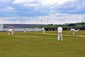 Image result for Shelf Cricket Club