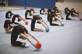 Image result for Flyin Scots Aerobic Gymnastics Club