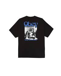 Image result for +obey +gravity t-shirt