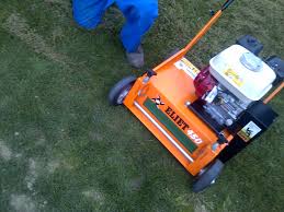 Image result for eliet tehron