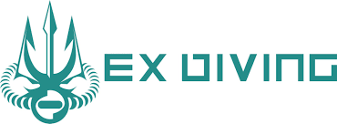 Image result for Exdive