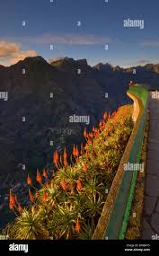 Image result for Eira do Serrado