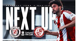 Image result for Woking Boys & Woking Fc (Part Of Woking Boys & Girls Fc)