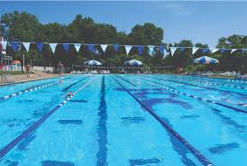 Image result for Calverton Swimming Club