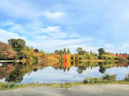 Image result for Leek Park B C