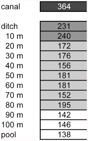 Attēlu rezultāti vaicājumam “Calliergon megalophyllum”