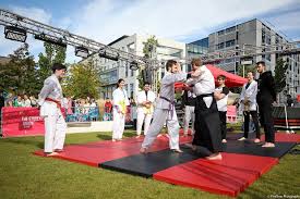 Image result for Uwe Karate Club