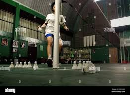 Image result for Chippenham 23 Badminton Club