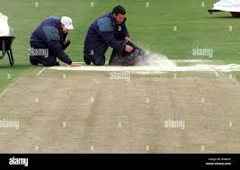 Image result for University Of Kent Cricket Club