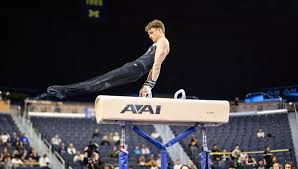 Image result for Wade Gymnastics Club