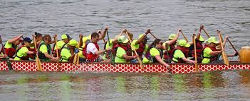 Image result for Wam Dragon Boat Racing Team