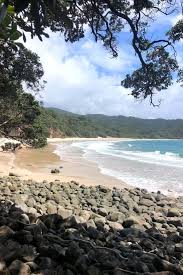 Image result for new chums beach