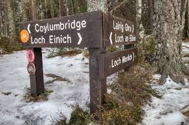 Image result for The Cairngorm Club