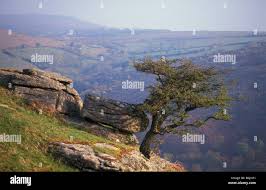 Image result for Team Tor 2000