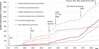 Attēlu rezultāti vaicājumam “Didymium spongiosum macro”