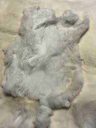 Image result for white rabbit skin texture