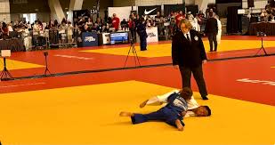 Image result for Judo Excellence