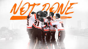 Image result for Team-Tigers Roller Hockey Club