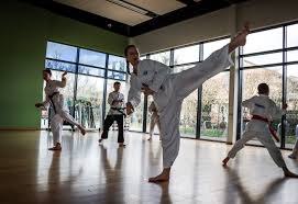 Image result for Bytomic Tae Kwon Do Windsor