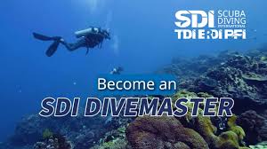 Image result for Divemaster Scuba