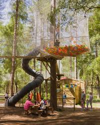 Image result for Go Ape! Alice Holt