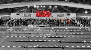 Image result for Dearne Valley Swimming Club