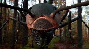 Attēlu rezultāti vaicājumam “Formica rufa”