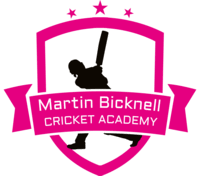 Image result for Churt Cricket Club