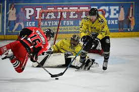 Image result for Widnes Ladies Hockey Club