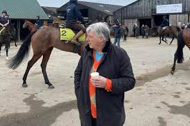 Image result for Blackpool & Fylde Horse Club