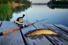 Image result for рыбалка