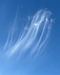 Attēlu rezultāti vaicājumam “Cirrus fibratus”