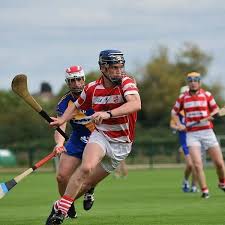 Image result for Sean Treacy`s Hurling Club